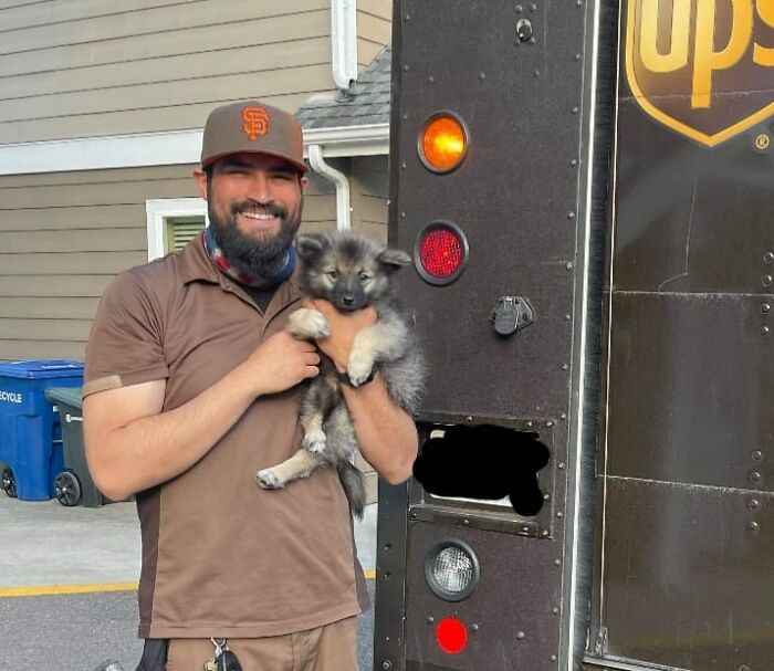 Turns Out, UPS Drivers Have A Facebook Group About Dogs They Meet On Their Routes, And It Will Make Your Day (30 New Pics)