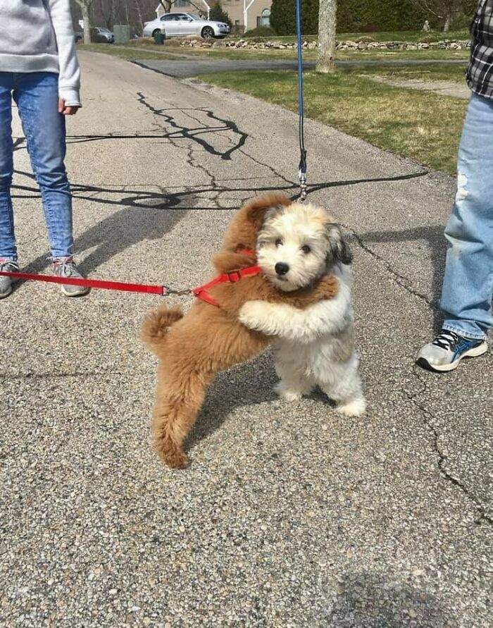 This Page Collects Photos Of 'Animals With Threatening Auras' (40 New Pics)