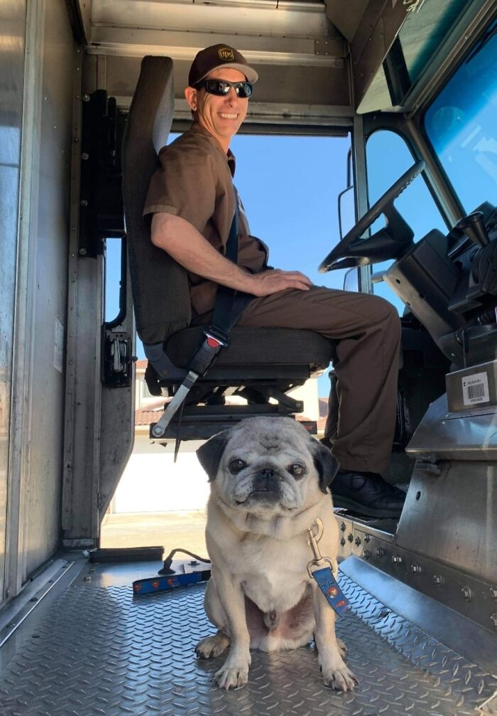 Turns Out, UPS Drivers Have A Facebook Group About Dogs They Meet On Their Routes, And It Will Make Your Day (30 New Pics)