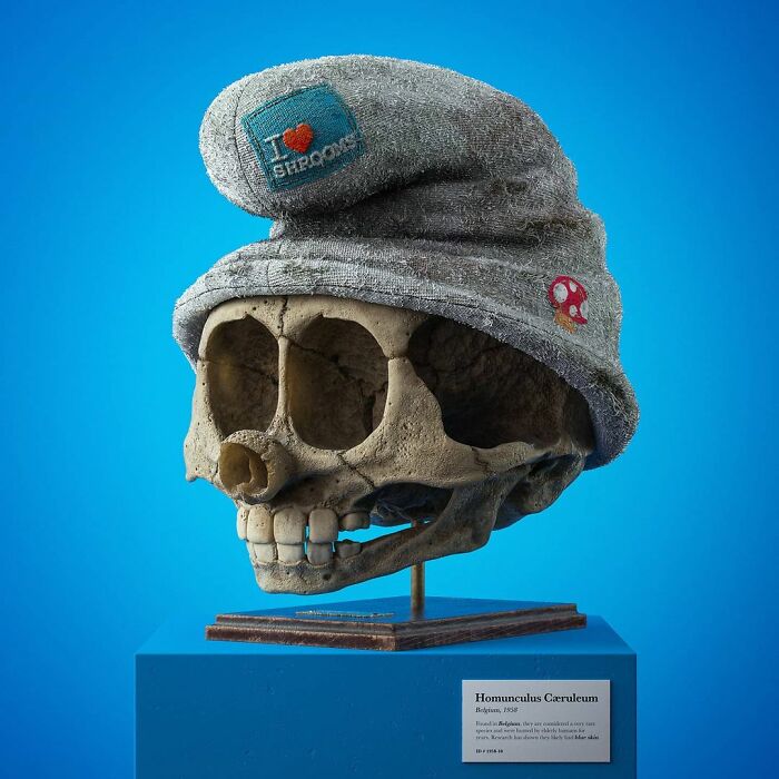 Homunculus Cæruleum