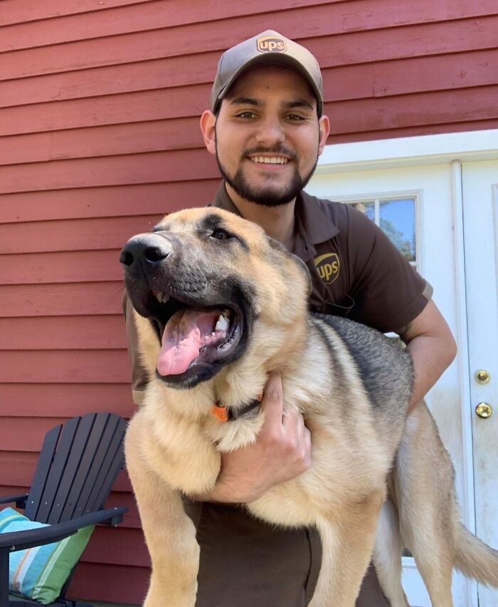 Turns Out, UPS Drivers Have A Facebook Group About Dogs They Meet On Their Routes, And It Will Make Your Day (30 New Pics)