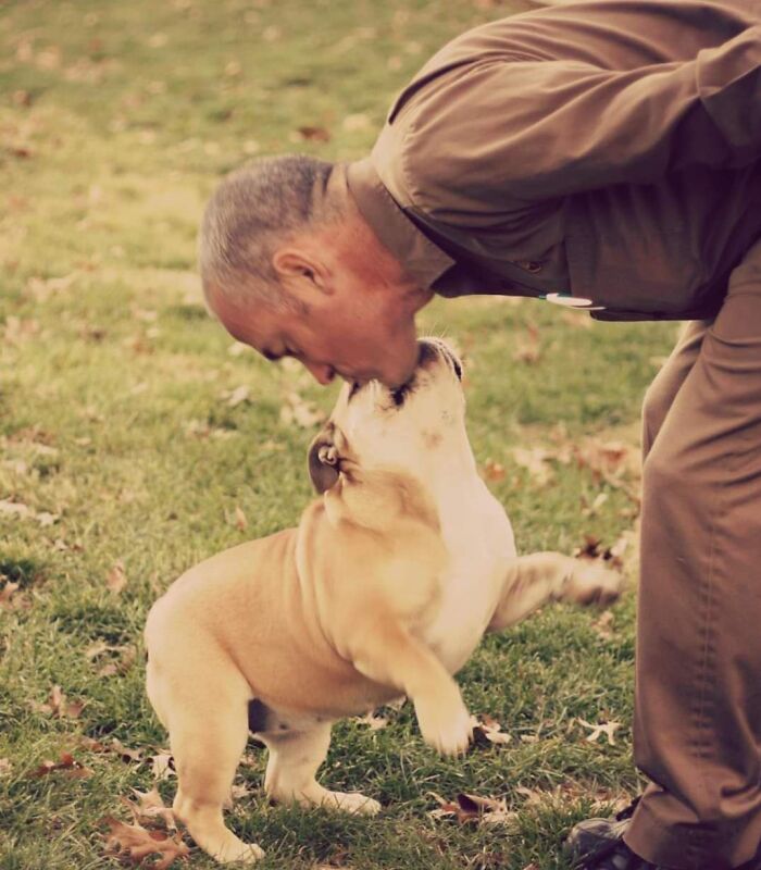 Turns Out, UPS Drivers Have A Facebook Group About Dogs They Meet On Their Routes, And It Will Make Your Day (30 New Pics)