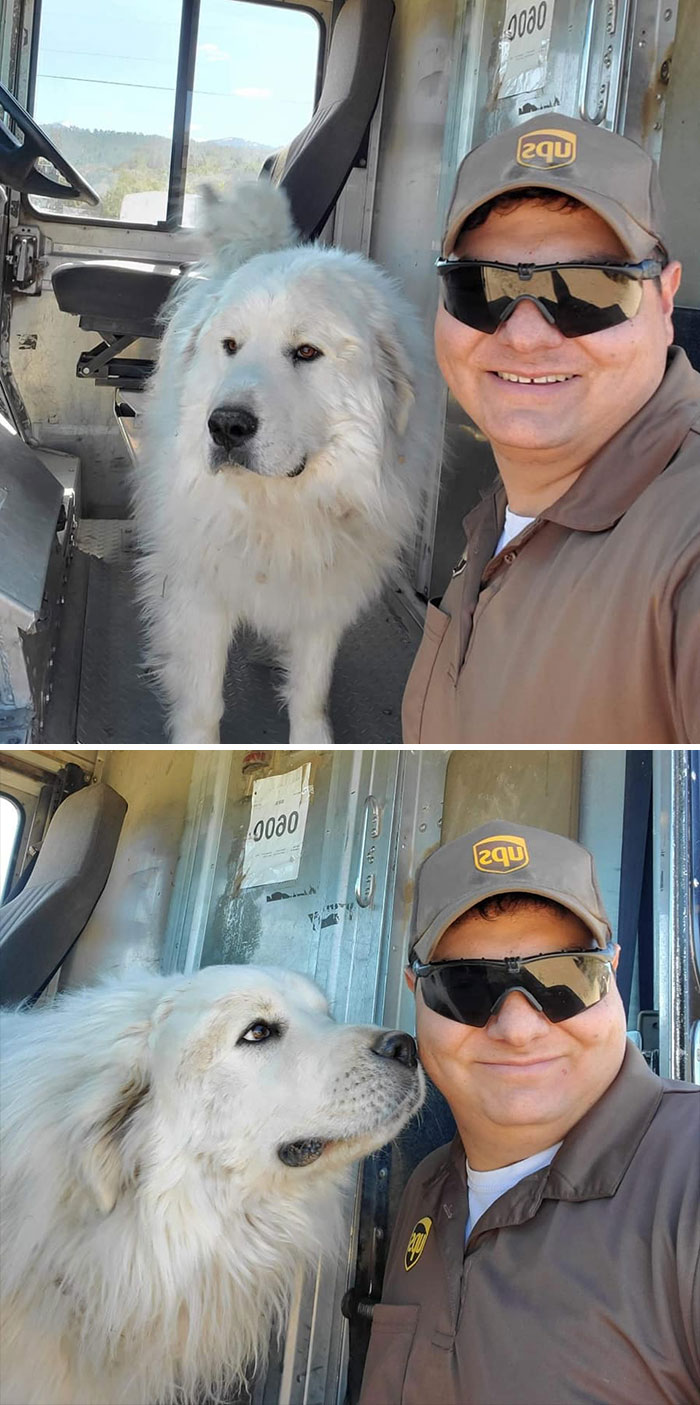 Turns Out, UPS Drivers Have A Facebook Group About Dogs They Meet On Their Routes, And It Will Make Your Day (30 New Pics)
