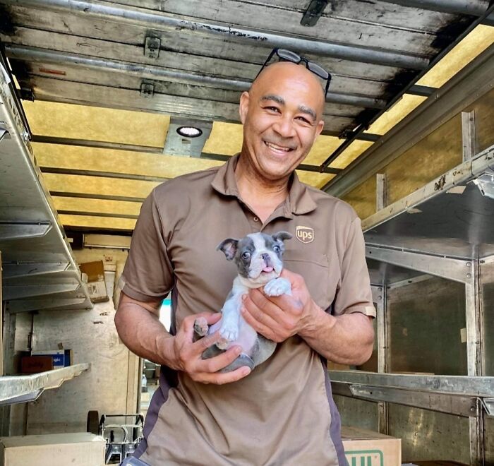 Turns Out, UPS Drivers Have A Facebook Group About Dogs They Meet On Their Routes, And It Will Make Your Day (30 New Pics)