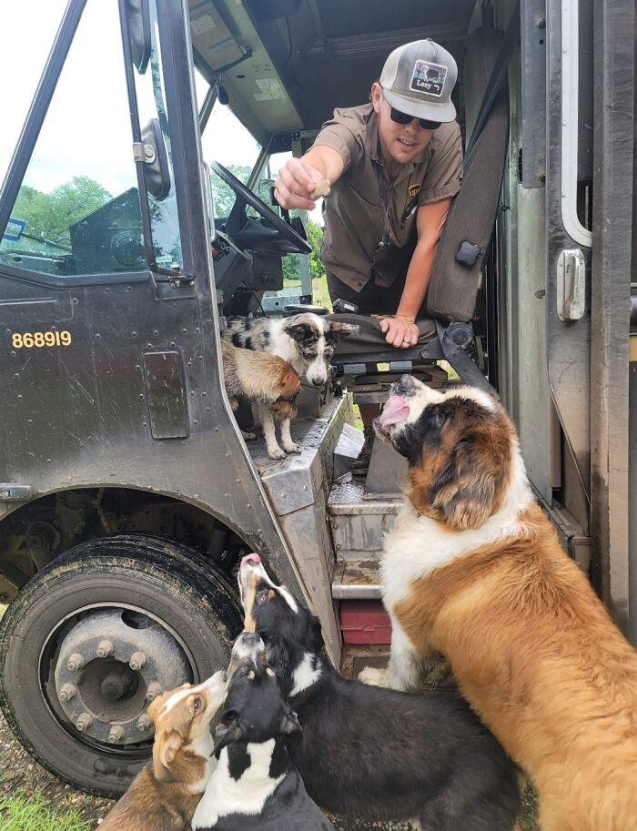 Turns Out, UPS Drivers Have A Facebook Group About Dogs They Meet On Their Routes, And It Will Make Your Day (30 New Pics)