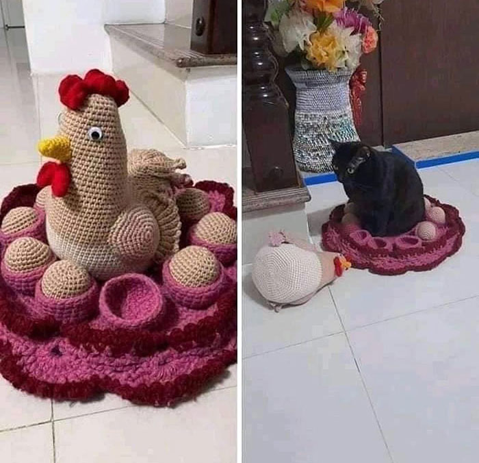50 Animals Doing Whatever They Like, As Shared On This Instagram Account (New Pics)