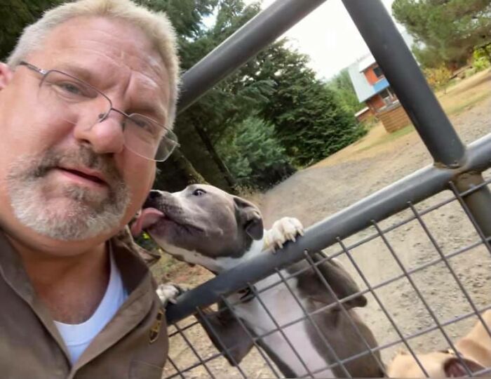 Turns Out, UPS Drivers Have A Facebook Group About Dogs They Meet On Their Routes, And It Will Make Your Day (30 New Pics)