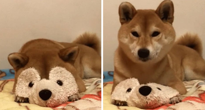 Adorable²