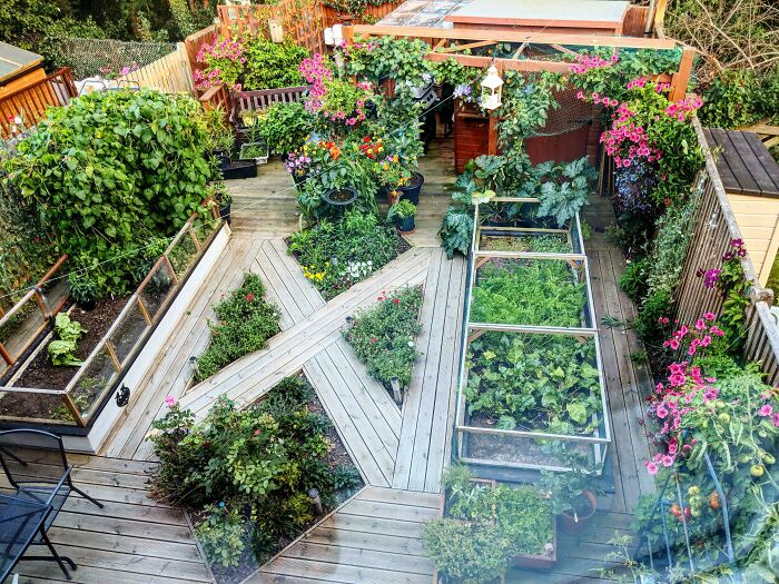 El jardín de los abuelos se ve increíble