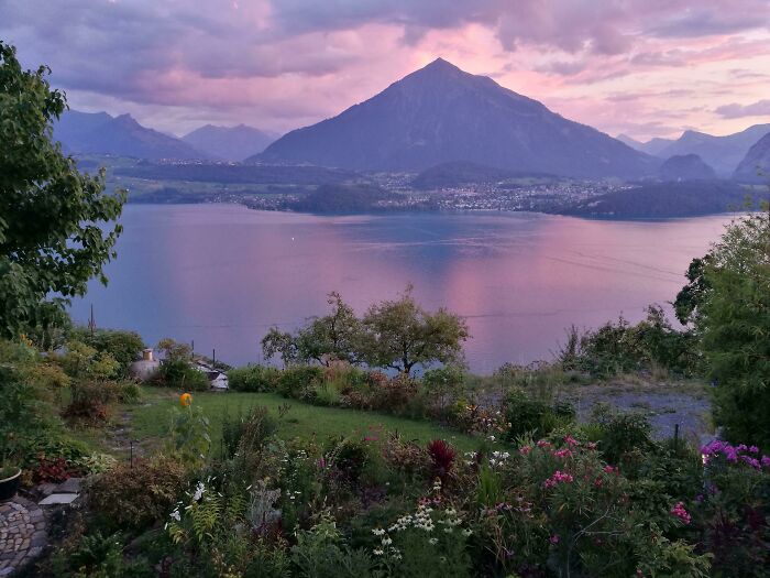 El jardín de la madre de mi novio