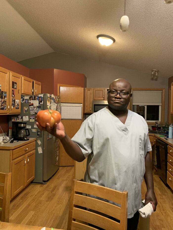 Mi papá estaba muy orgulloso de sus tomates monstruosos de esta temporada