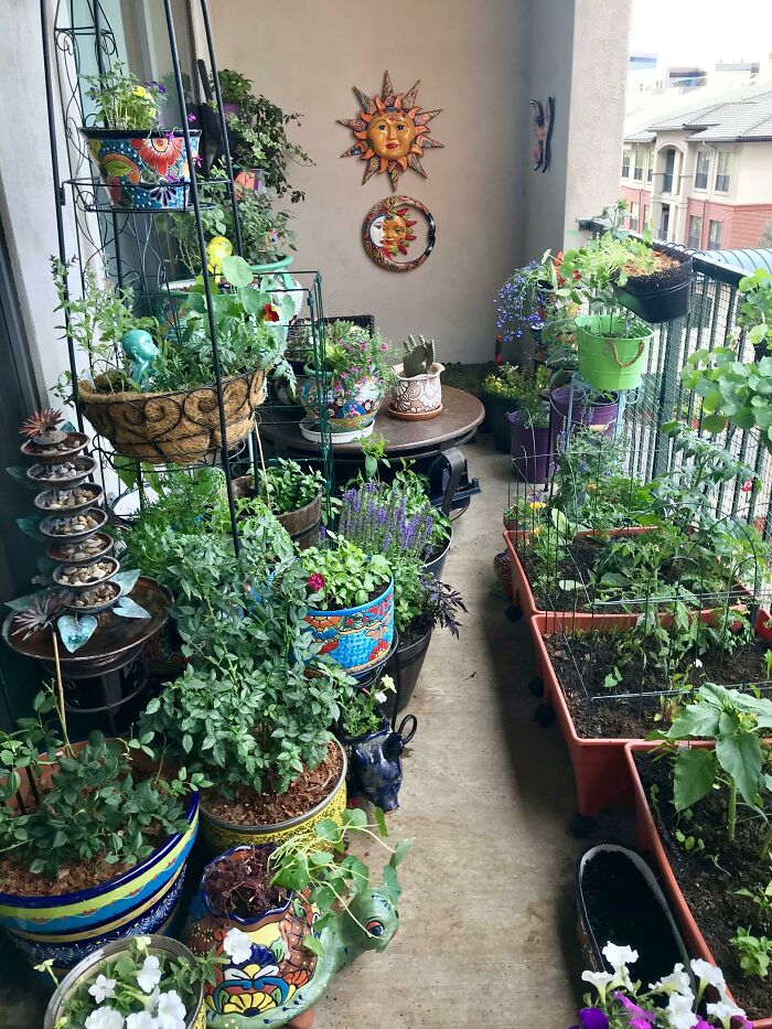 Bienvenido a mi jardín secreto