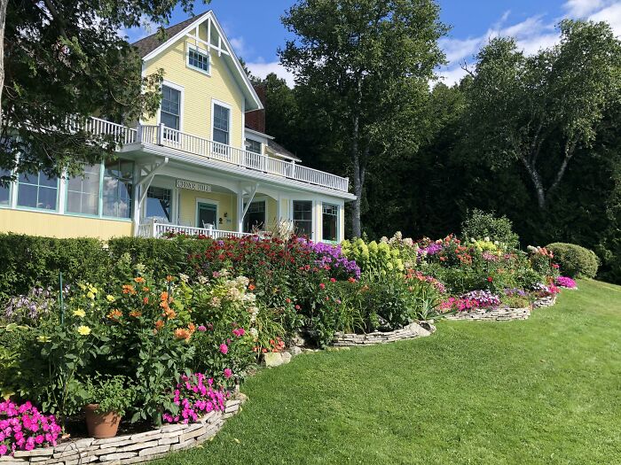 El jardín de mi padre (74 años) está particularmente bonito esta mañana. Él mismo se encarga de la planificación y la jardinería