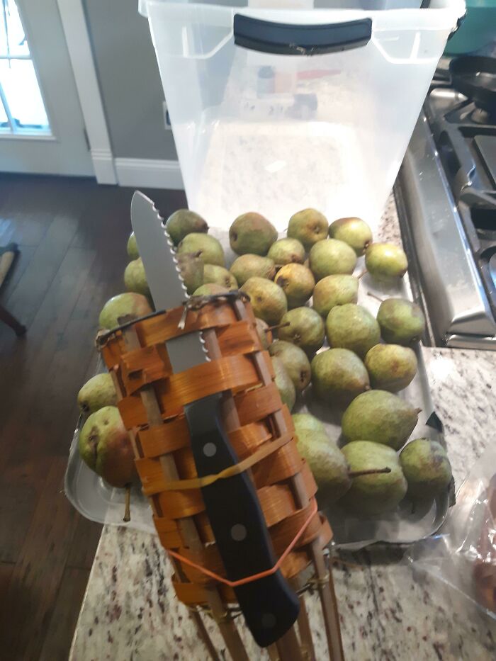 Mi solución estúpida al problema de la fruta que cuelga en lo alto