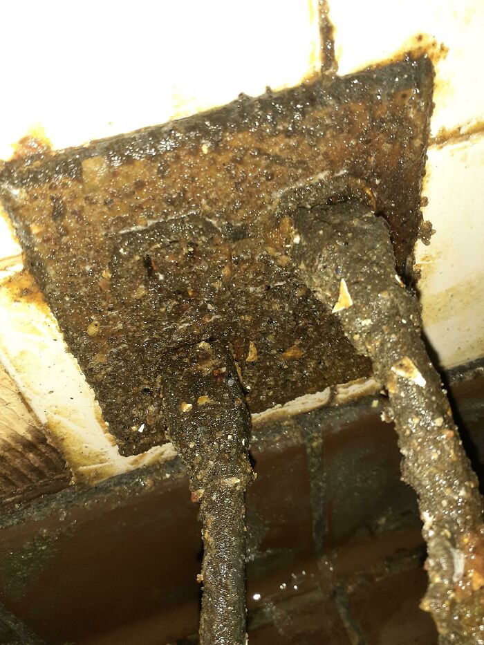 Mi compañero de trabajo y yo tratábamos de decidir cuál de los dos iba a volver a enchufar esto después de que se desenchufara