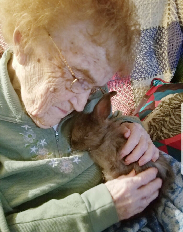 Llevé a uno de mis conejitos a conocer a mi bisabuela