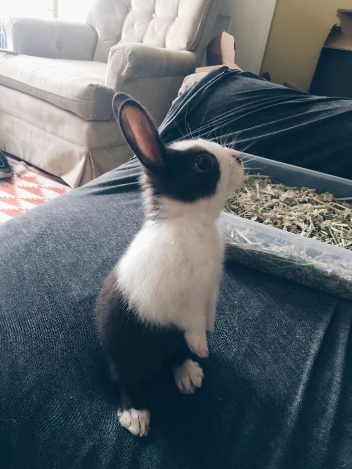 Eleanor