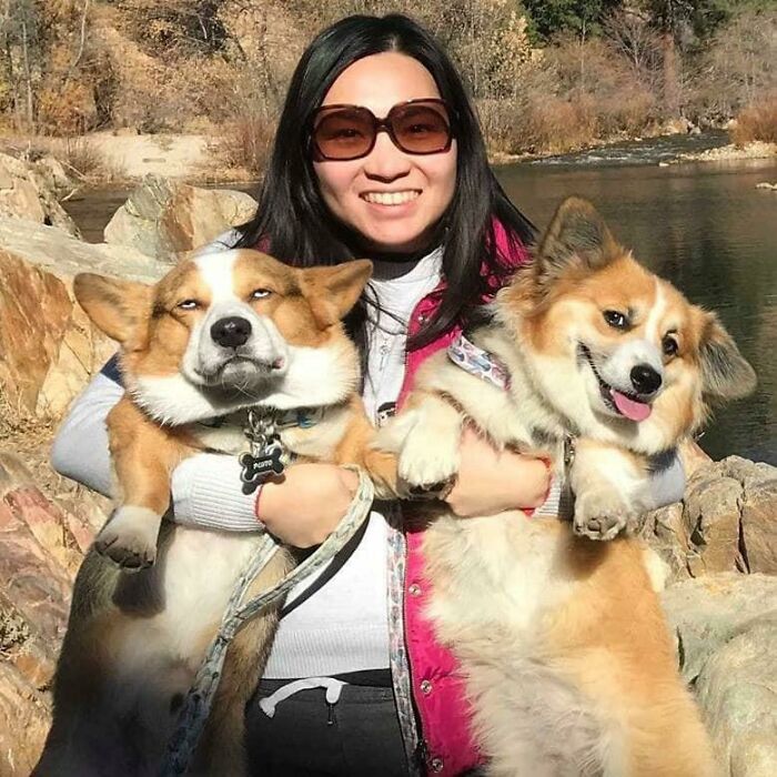 Esta mujer con dos corgis