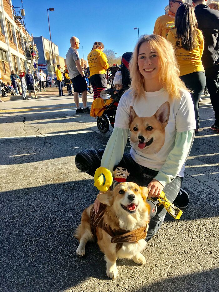 Mi Corgi, Kadet, corrió ayer su primera carrera de Acción de Gracias. Tan orgulloso de este pequeño