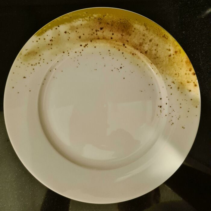 Casi vomito al ver estos platos, pero resulta que es su diseño