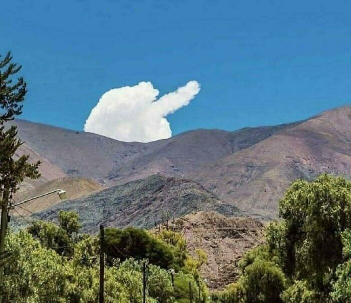 50 Times The Universe Decided To Troll One Person Specifically And It Resulted In These Funny Pics
