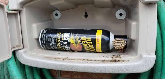 50 Times The Universe Decided To Troll One Person Specifically And It Resulted In These Funny Pics