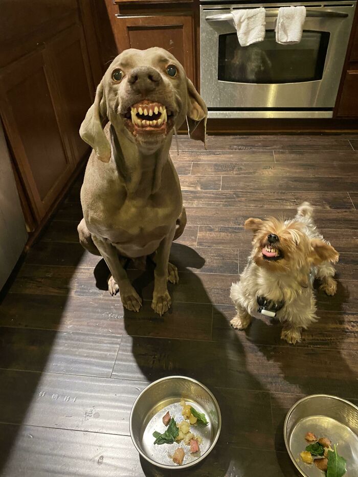 Patataaaaaaaaaaa
