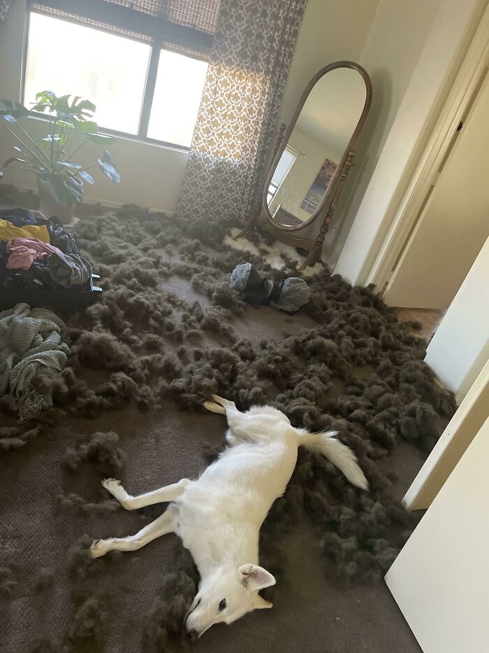 Bueno. Así quedó su cama nueva