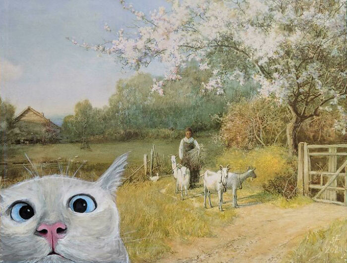 Gato haciendo photobomb,creo que es bastante obvio