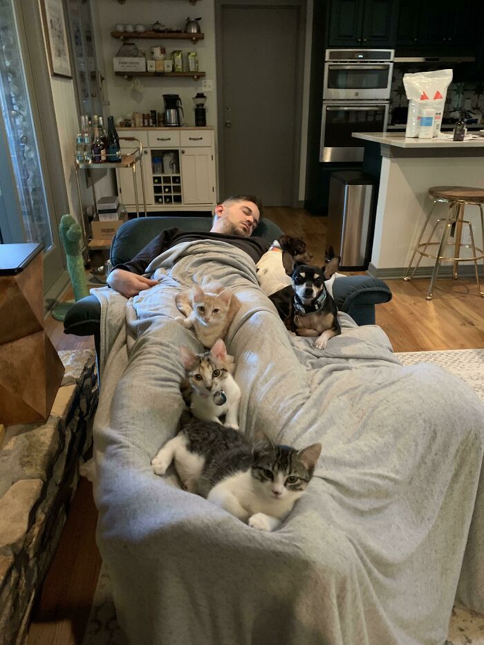 La casa estaba demasiado silenciosa ayer mientras nuestros gatitos de acogida estaban fuera jugando y se suponía que mi novio los estaba cuidando