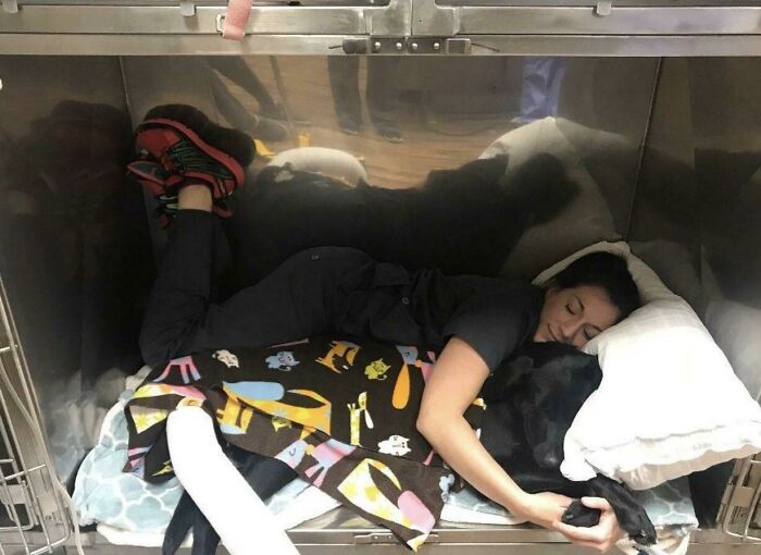 En mi trabajo nos tomamos muy en serio los cuidados postoperatorios. Los mimos son la mejor medicina
