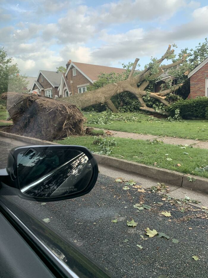 Hubo una tormenta terrible recientemente