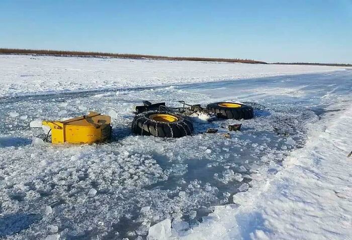 Parece que pensó que era una carretera, o solo necesitaba refrescarse