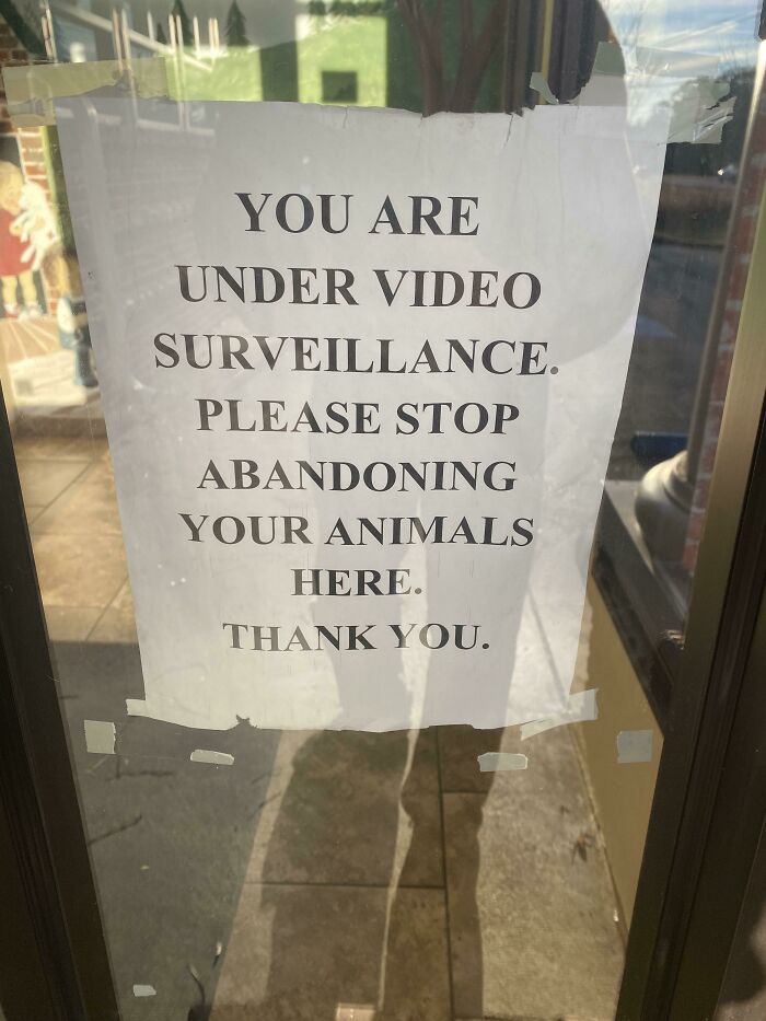 En una clínica veterinaria