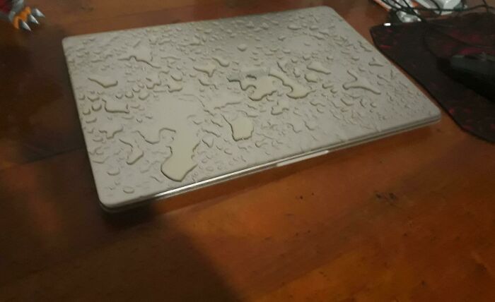 Llegué a mi apartamento desde el trabajo durante un día de lluvia para encontrar una fuga en el techo justo encima de mi laptop…