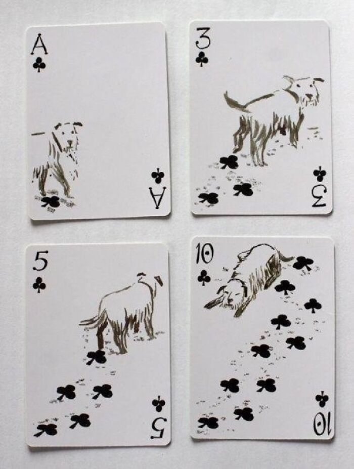 Cartas de perros