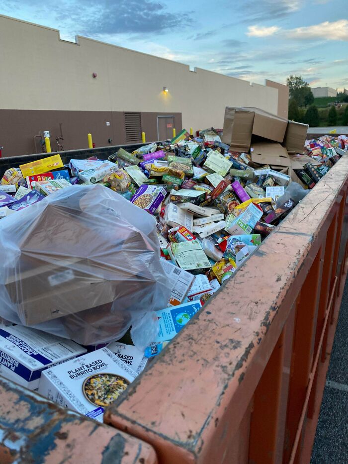 He muerto y caí en el cielo de los nómadas de contenedores de basura 