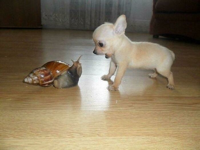 Hmmm