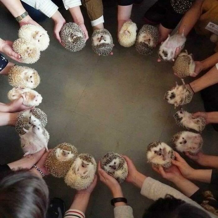 Hmmm
