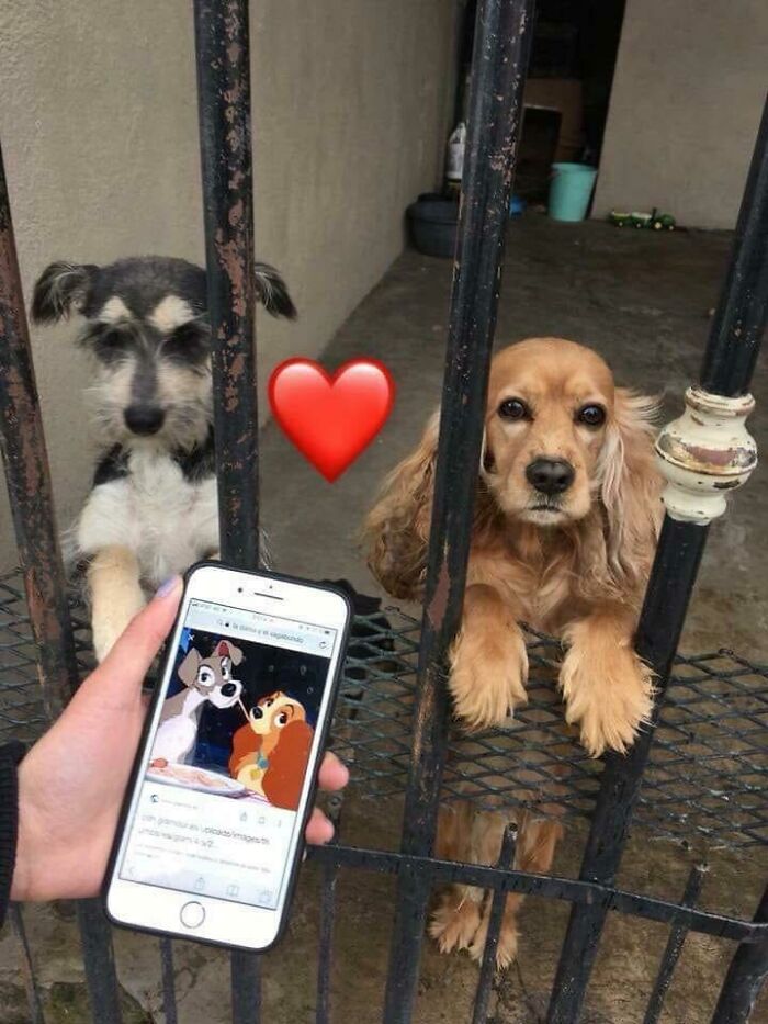 Hmmm