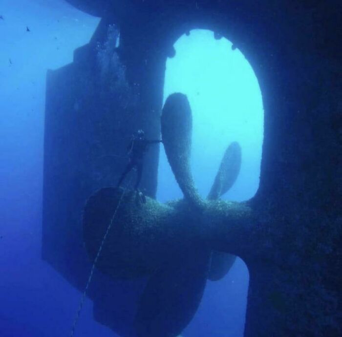 Alucinante