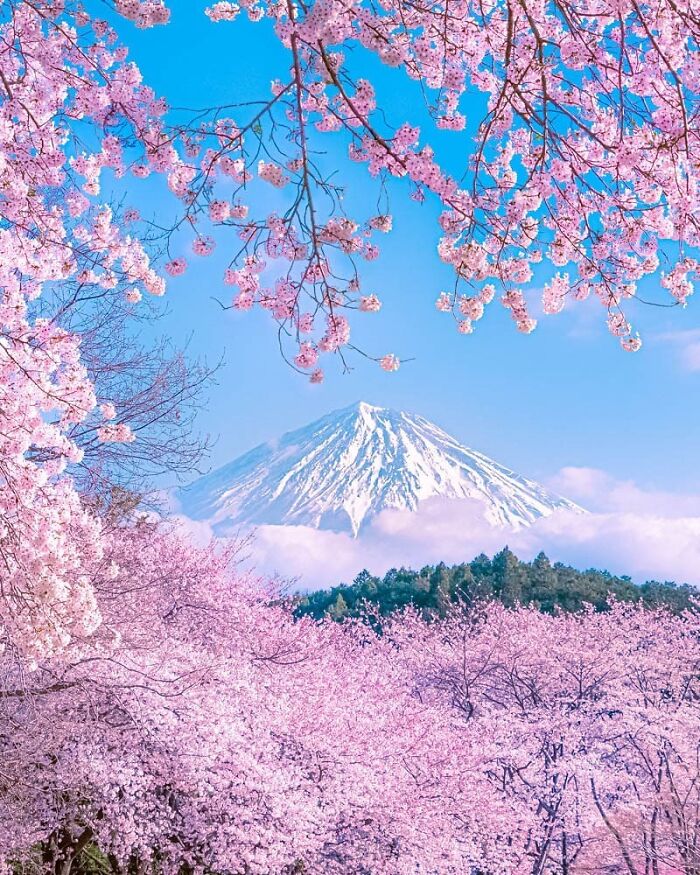 Shizuoka, Japón