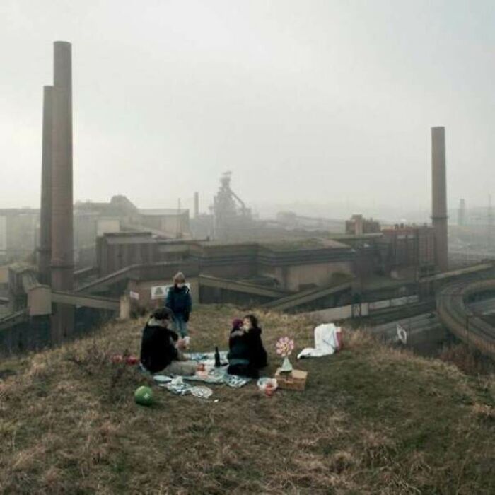 Un día hermoso para un picnic...