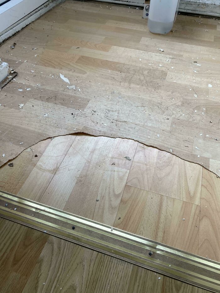 Levanté el piso de mi pórtico para encontrar más piso