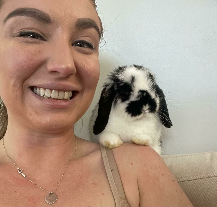 Todos, conoced a Prudence. Es una Holland Lop que adopté de la granja de un amigo. Le gusta sentarse en mi hombro como un loro 