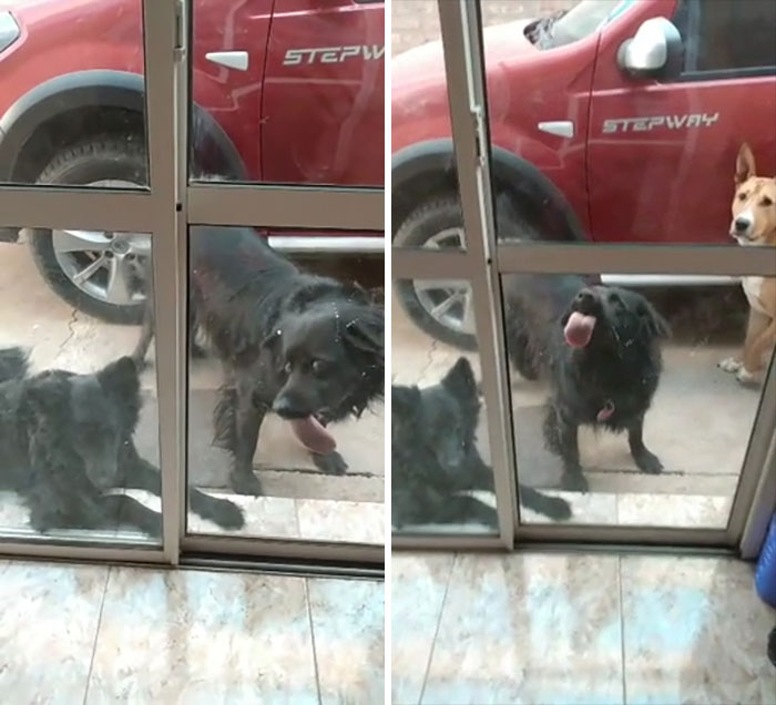 No es el mejor servicio de limpieza de ventanas que he tenido, pero hace lo que puede