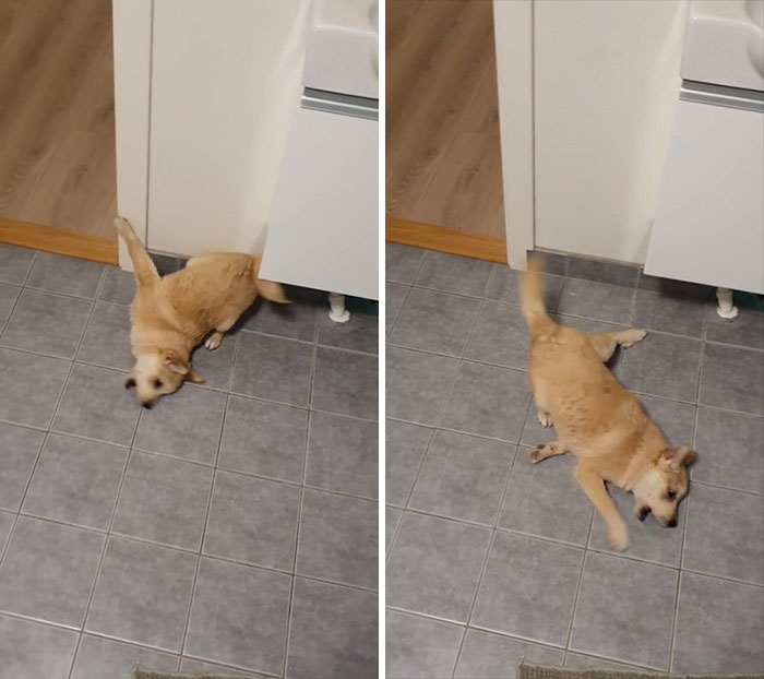 Trauma de después de la ducha