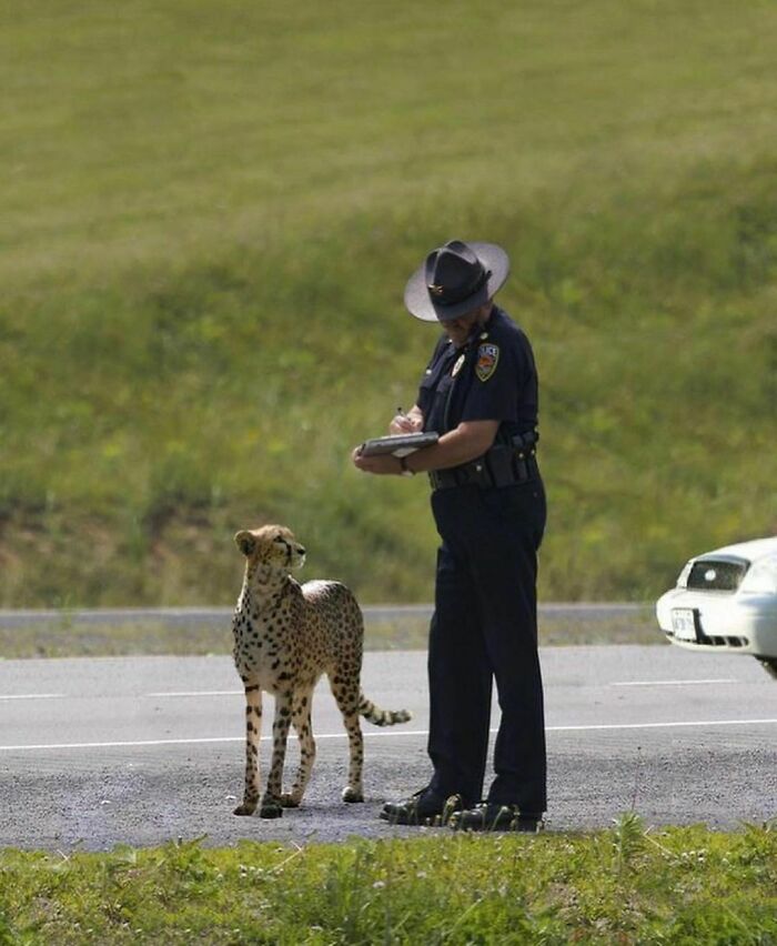 50 Animals Doing Whatever They Like, As Shared On This Instagram Account (New Pics)