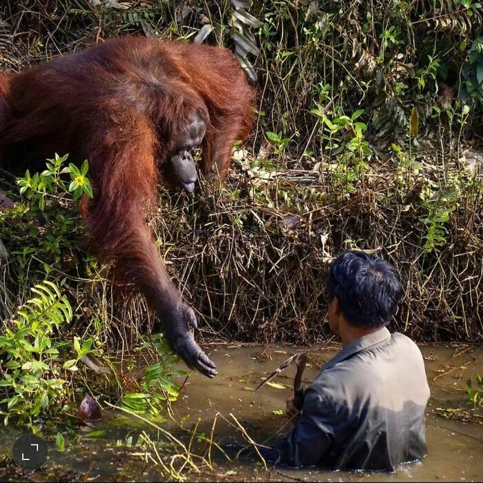 50 Animals Doing Whatever They Like, As Shared On This Instagram Account (New Pics)