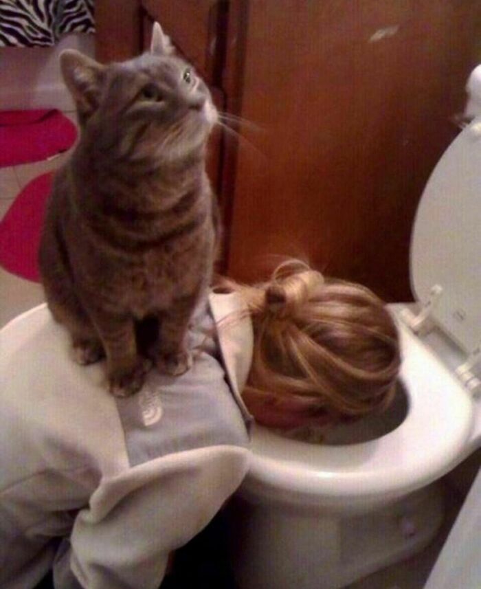 50 Animals Doing Whatever They Like, As Shared On This Instagram Account (New Pics)